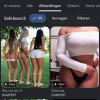 Nieuw! Voeg Dumpert.nl toe aan je zoekvoorkeuren op Google