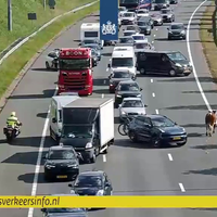 Wilde Westen op de A2 bij Den bosch