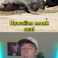 Klootzak krijgt karma