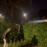 Wie zal ik taseren vandaag?