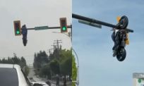 Motor belandt in verkeerslicht na bizarre klapper in Canada