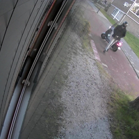 Lokale junk gooit een raam in