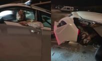 Repo man wil auto meenemen, eigenaar maakt situatie alleen maar erger