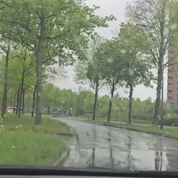Tiguanrijdert heeft poep in zijn ogen