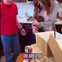Er komt weer een baby