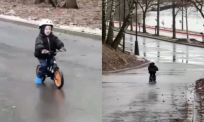 Kleine snelheidsduivel gaat volle bak heuvel af op loopfiets