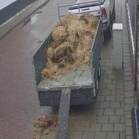 Lekker hokkie uitmesten 