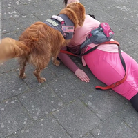Niet f*cken met MijLo