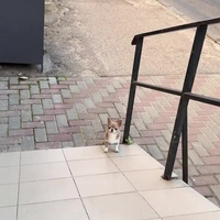 Kom op kleine, je kant het!