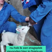 Baba (deel 2!) stront skowe op stage!