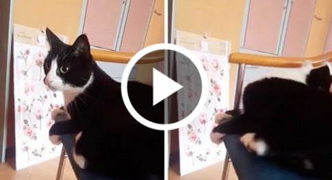 Stop Hitting Yourself