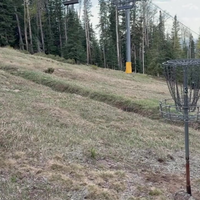 Frisbeebaas