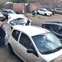 Buurkat laat even weten wat hij van mij vindt 