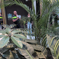 De politie vordert iedereen om weg te gaan uit Mall of the Netherlands