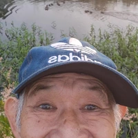 Goedemiddag