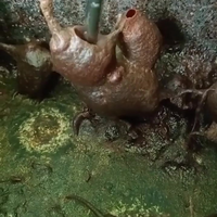 Dorstig weer 