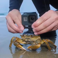 Je bent nu een krab 