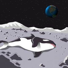 Cant wait for de pictures