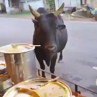 Vaste klant komt lunchen
