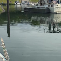 Schipper is iets vergeten