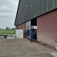 Ze mogen weer de wei in
