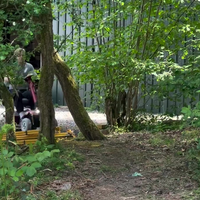 Oma's scootmobiel opgevoerd 