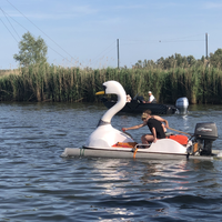 Varen in de Biesbosch 