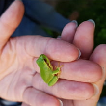 Say hello to my little friend