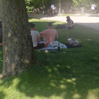 Vondelpark 