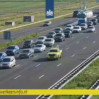 Roodkruisnegeerdert heeft schijt op de A4