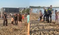Chaos op strand Nesselande: politie grijpt in na meerdere vechtpartijen