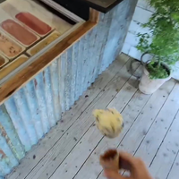 Een bolletje graag 