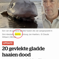 Voor alle duidelijkheid... 