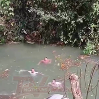 Lekker stukje zwemmen bij de dam 