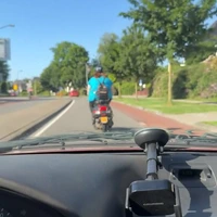 Zeekoe op een scooter