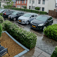 Dikke biem in het stadje Huissen (naast Arnhem)