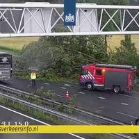 Omgevallen boom op de A13