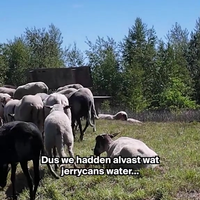 Jerrycans afgepakt van herder
