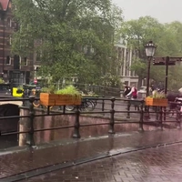 Koets in de water