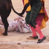 Een stier boos maken?