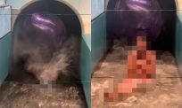 Mannen hebben ineens een favoriete plek in dit waterpark en de reden is duidelijk