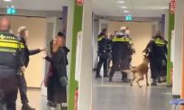 Virale beelden van hard politieoptreden zorgen voor ophef: dit zegt de politie zelf