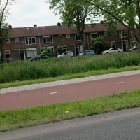 Dorstig verhuisweertje