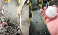 Belgische bus krijgt complete sloophamer van moeder natuur tijdens extreme hagelbui