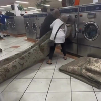 Vrouwen wassen tapijt 
