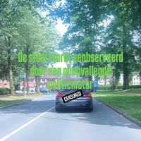 Politie pakt trouwstoet