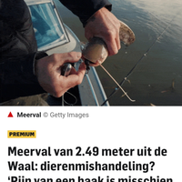 Plaatje bij je nieuwsbericht 