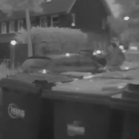 Kentekenplaatjatters op beeld