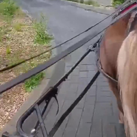 Met je pony naar de mac