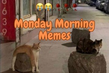 Monday Morning Memes
